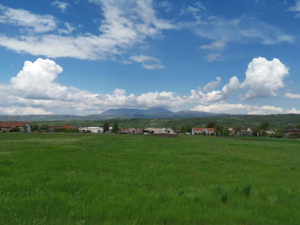 House Milovanovic Sokobanja Kültér fotó