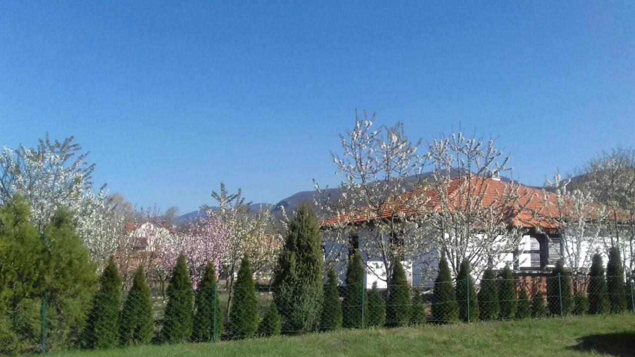 House Milovanovic Sokobanja Kültér fotó