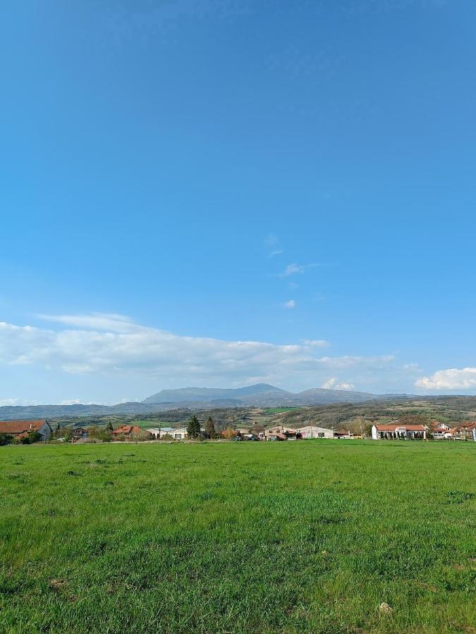 House Milovanovic Sokobanja Kültér fotó