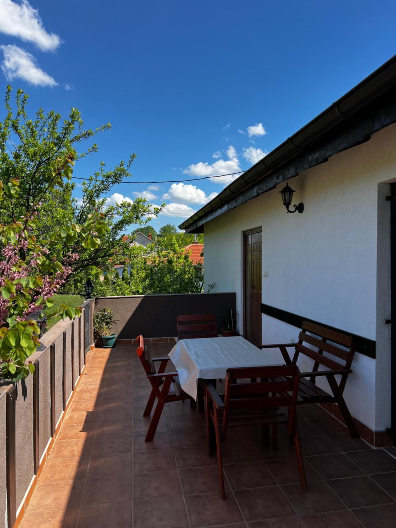 House Milovanovic Sokobanja Kültér fotó