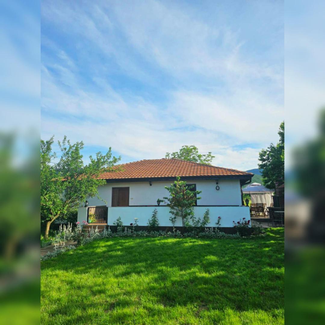 House Milovanovic Sokobanja Kültér fotó